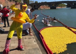 Image Rendez-vous de canards, quai de la Daurade