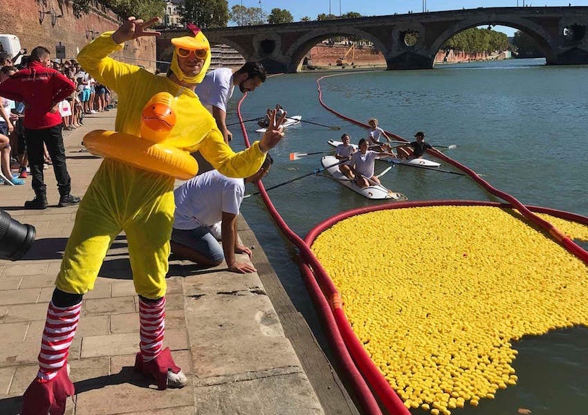 Image Rendez-vous de canards, quai de la Daurade