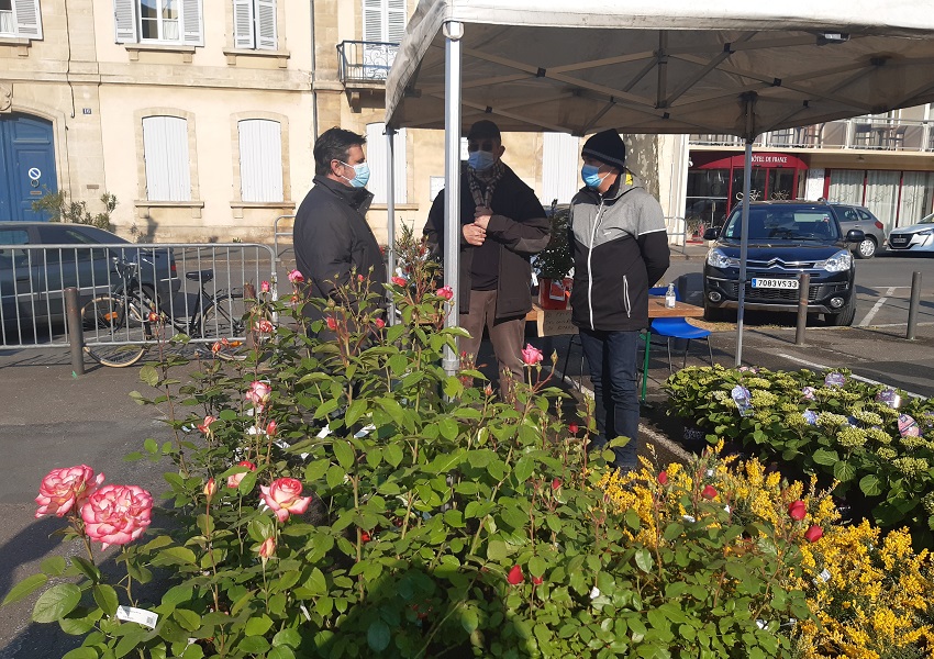 Image UN MARCHÉ AUX PLANTES FLORISSANT