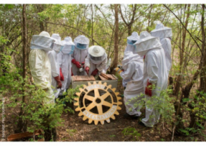 Image DÉVELOPPEMENT RURAL PAR L’APICULTURE : UNE ACTION FRANCO-BÉNINOISE