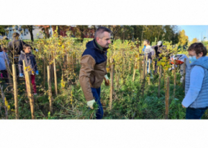 Image UNE MICRO-FORÊT URBAINE SENSIBILISE LA JEUNESSE À L’ENVIRONNEMENT