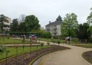 Image UN RALLYE BOTANIQUE CONTRE LE HANDICAP