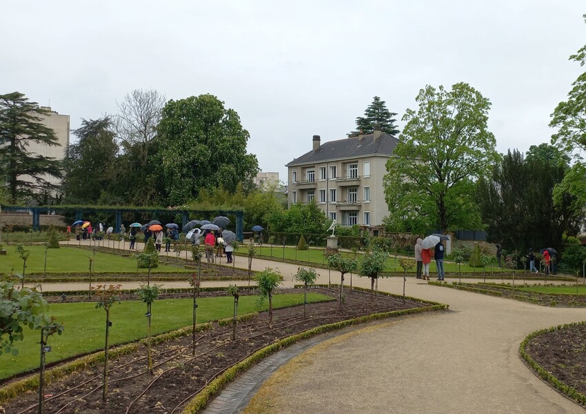 Image UN RALLYE BOTANIQUE CONTRE LE HANDICAP