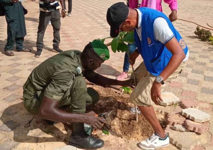 Image Des arbres plantés à Dakar 