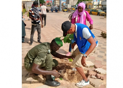 Image UNE CENTAINE D’ARBRES PLANTÉS EN VILLE