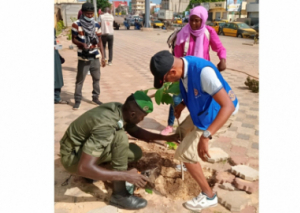 Image UNE CENTAINE D’ARBRES PLANTÉS EN VILLE