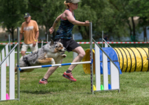 Image Franchir l'obstacle avec le Rotary