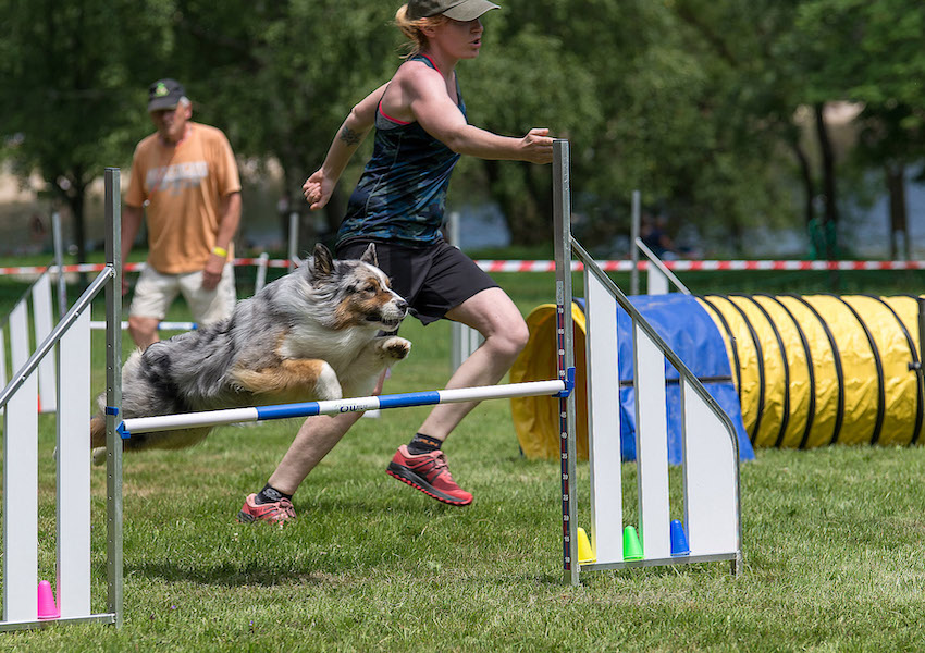 Image Franchir l'obstacle avec le Rotary