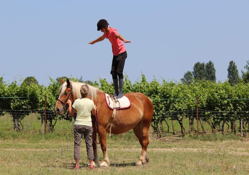 Image SOIGNER PAR LA MÉDIATION DU CHEVAL