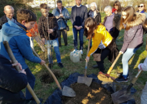 Image PLANTATION D’UN ARBRE MELLIFERE POUR LES ABEILLES